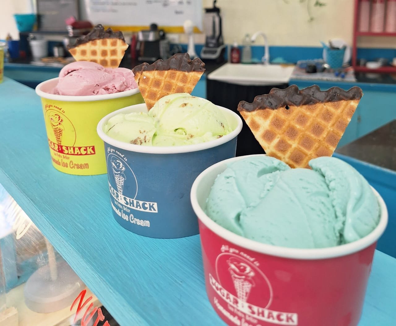 Sugar Shack Artisanal Ice Cream