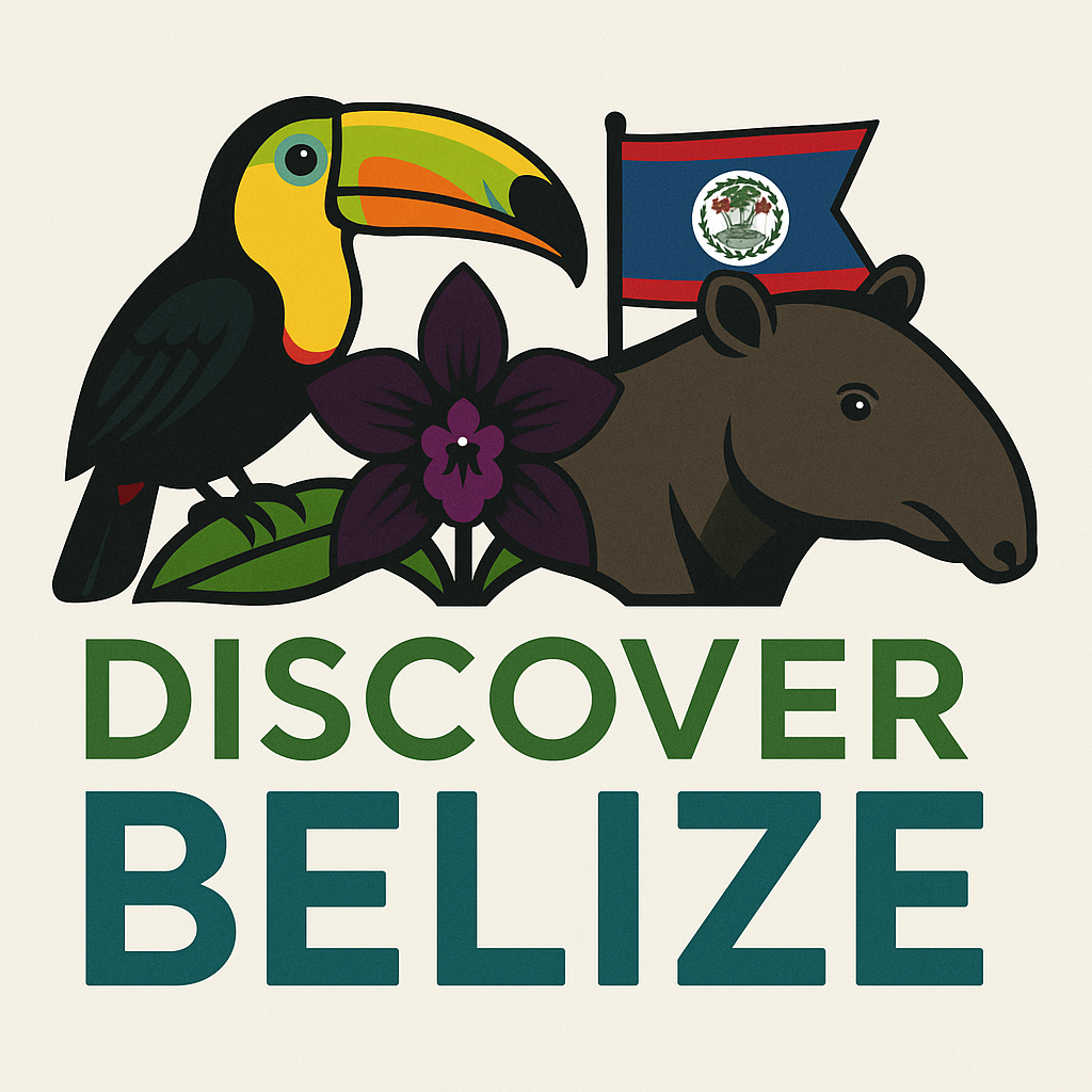 Discover Belize Logo